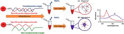 Rapid Colorimetric Assay for Detection of Listeria monocytogenes in Food Samples Using LAMP Formation of DNA Concatemers and Gold Nanoparticle-DNA Probe Complex